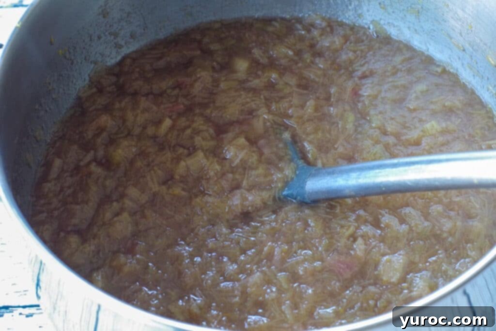 Chopped rhubarb and other ingredients simmering gently in a large saucepan, illustrating the initial cooking phase.