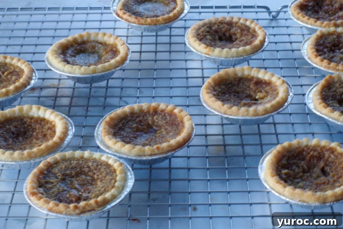 butter tarts cooling on wire rack
