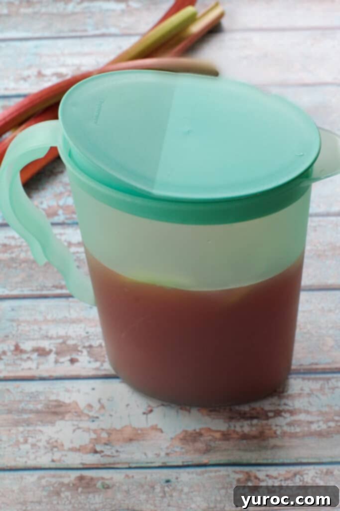 Effortless Rhubarb Lemonade 7 A blue juice jug filled with leftover rhubarb lemonade, positioned neatly in the fridge door, indicating convenient storage.