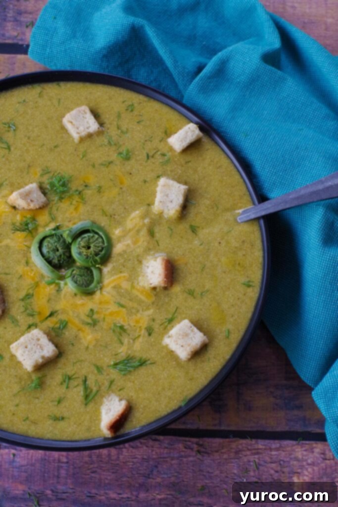 A half-filled black bowl of creamy fiddlehead soup, garnished with dill and croutons, with a spoon beside it and a turquoise linen. 