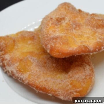 2 cinnamon sugar beaver tails on a white plate