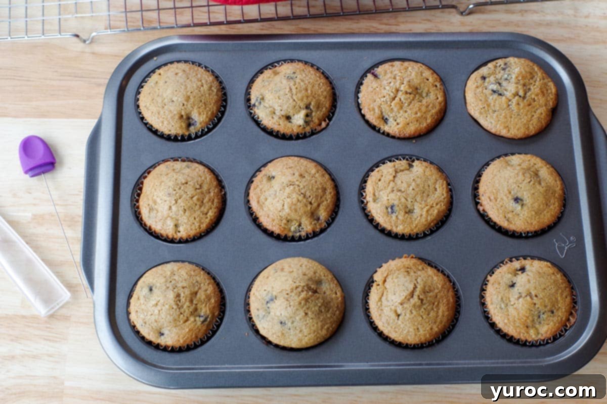 Heavenly Saskatoon Berry Muffins 9 img 126051 8