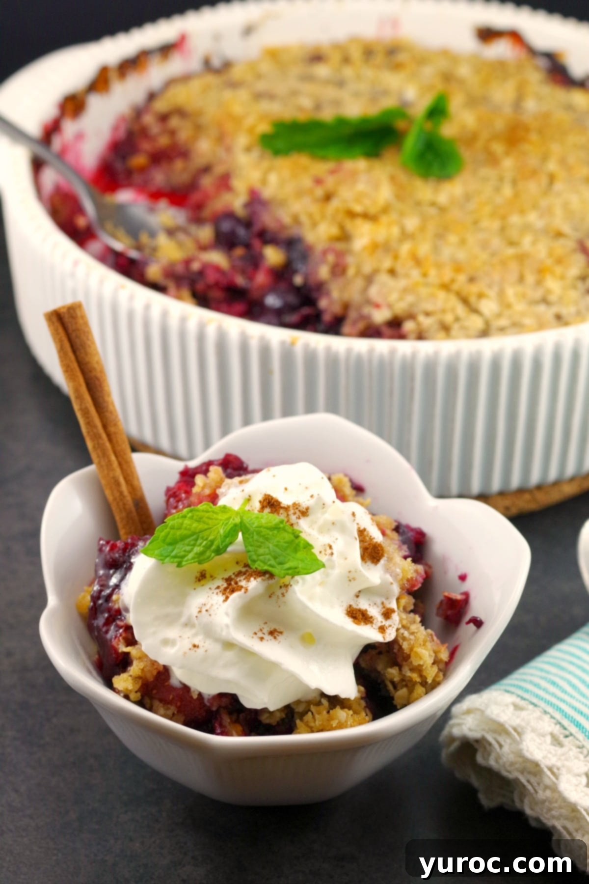 A vibrant and enticing Mixed Berry Crumble, beautifully garnished with fresh mint leaves and delicate coconut flakes. The image captures the rich colors of the berries and the golden-brown, crumbly topping, with 'foodmeanderings.com' branding subtly visible, inviting viewers to explore the recipe.