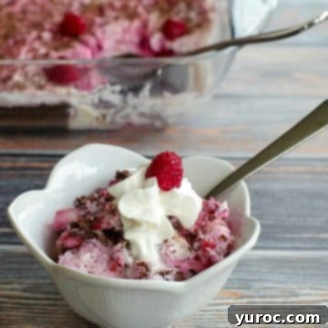 15 Easy No Bake Potluck Desserts 12 ww cheesecake in a white flower petal bowl, with spoon and glass container of more in the background