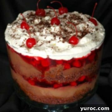 15 Easy No Bake Potluck Desserts 5 Easy Black Forest Trifle in a clear glass trifle bowl with a black cloth background