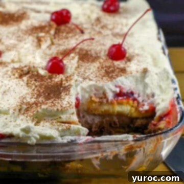 15 Easy No Bake Potluck Desserts 15 Black Forest Tiramisu in glass pan with piece missing