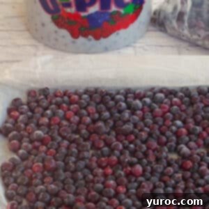 Your Guide to Freezing Saskatoon Berries 12 Frozen Saskatoon berries on a parchment lined baking sheet, with a bucket and ziploc bags with Saskatoons in the background