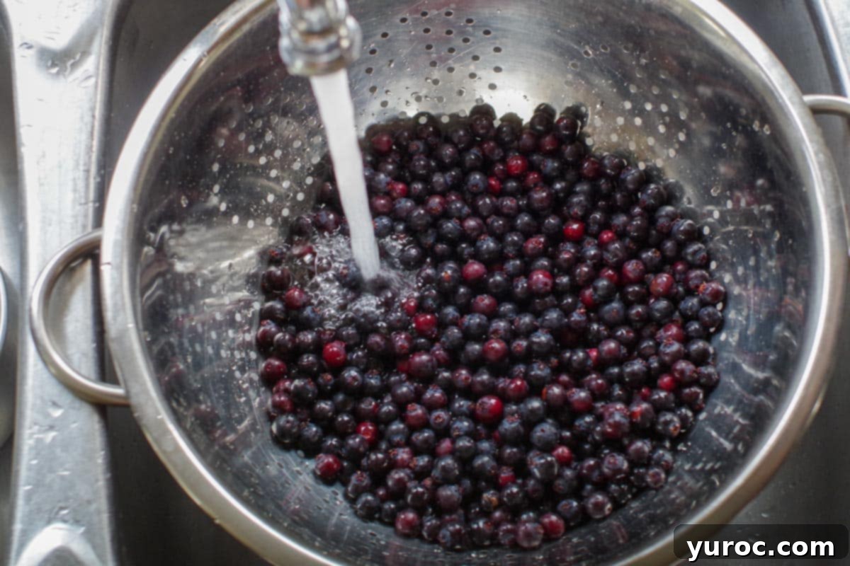 Your Guide to Freezing Saskatoon Berries 6 berries in colander with water running