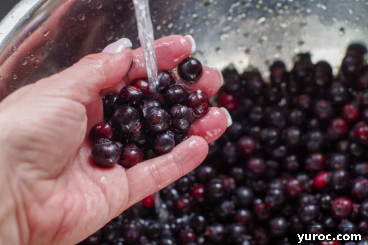 Your Guide to Freezing Saskatoon Berries 7 hand holding up berries being washed over colander of berries