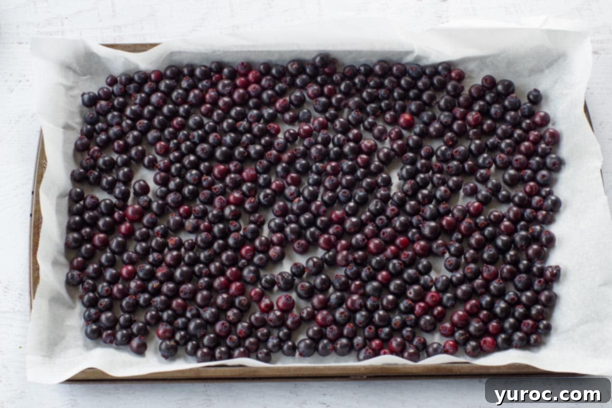 Your Guide to Freezing Saskatoon Berries 9 Saskatoon berries on a parchment lined cookie sheet