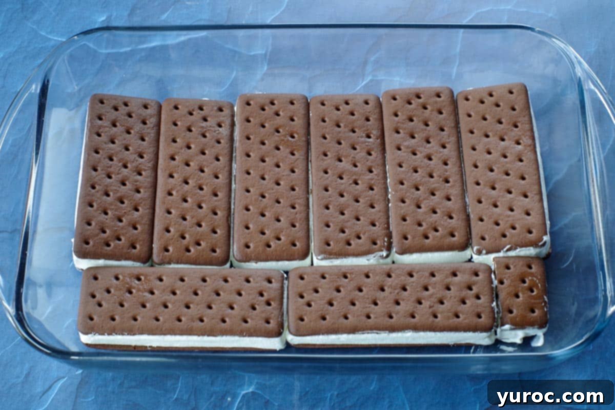 bottom of pan lined with ice cream sandwiches