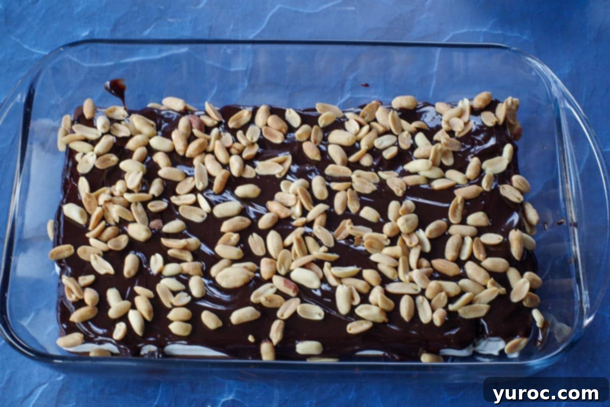 peanuts sprinkled over fudge layaer