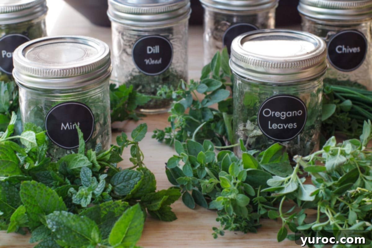 fresh herbs and jars of dried herbs, labelled with black round labels