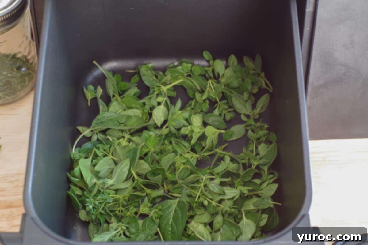 oregano leaves in air fryer drawer