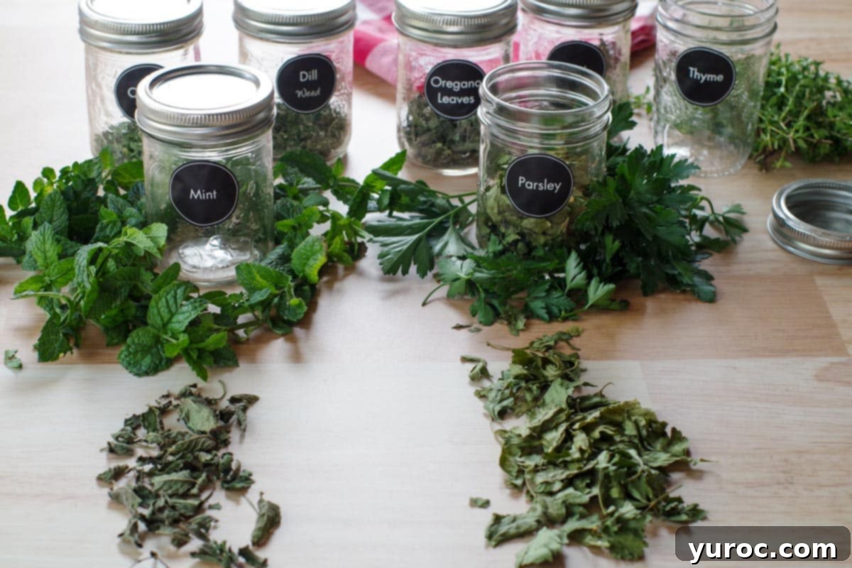 fresh herbs and jars of dried herbs and dried herbs in front of jar