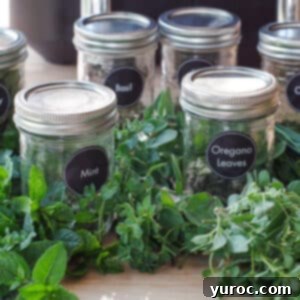 fresh herbs and jars of dried herbs, labelled with black round labels