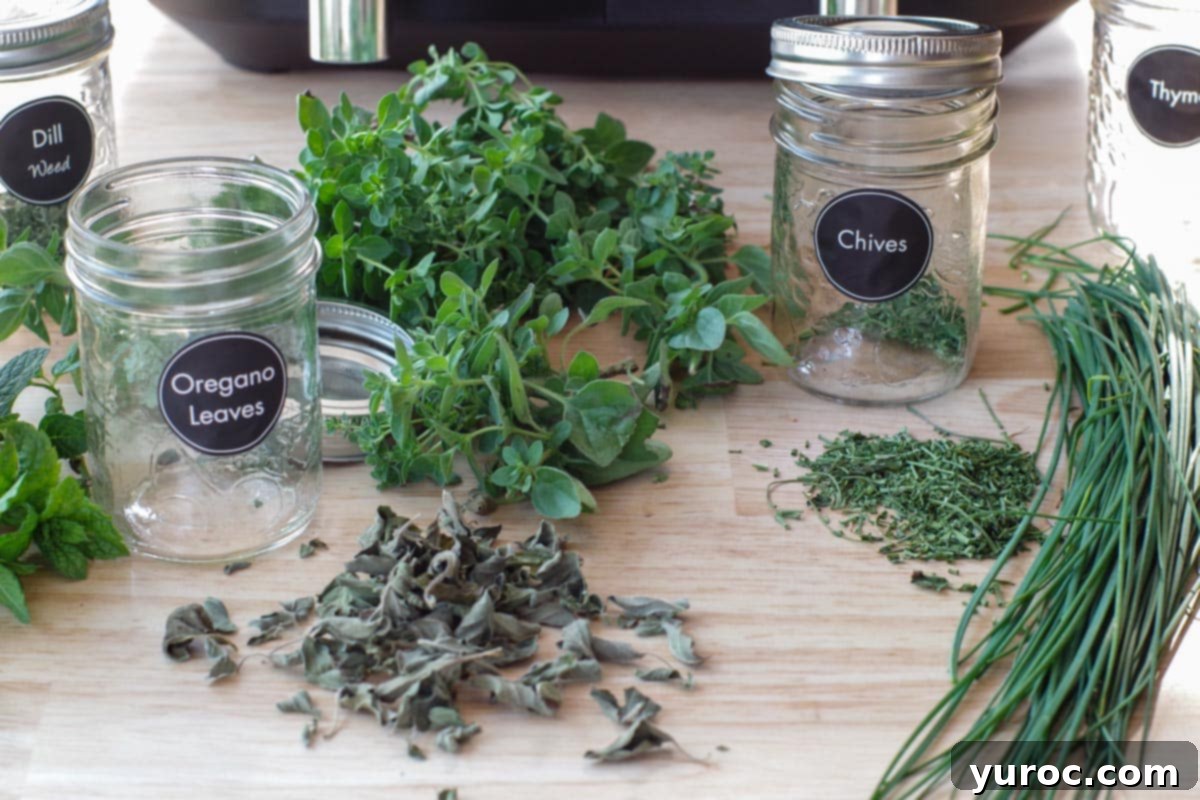 fresh herbs, dried herbs and jars