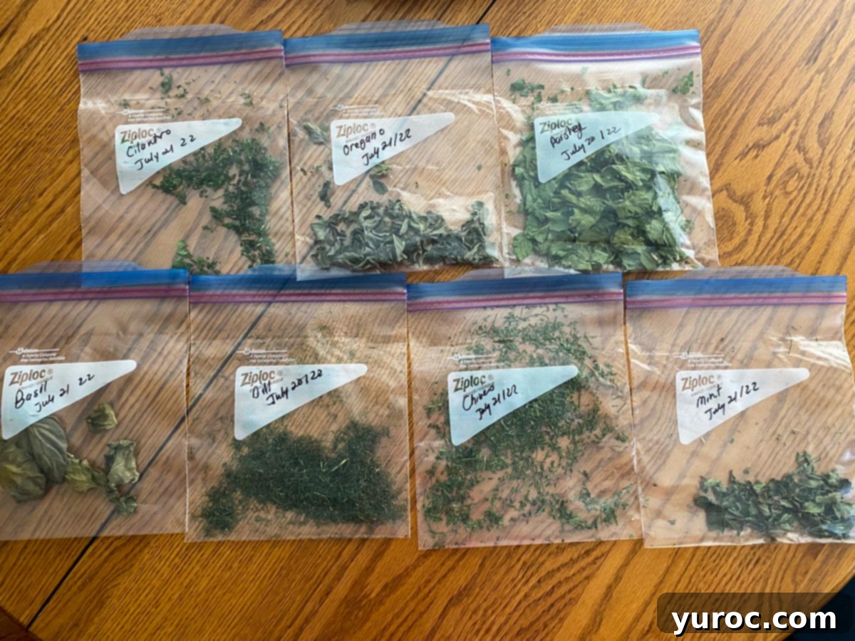 7 type of dehydrated herbs in Ziplock bags