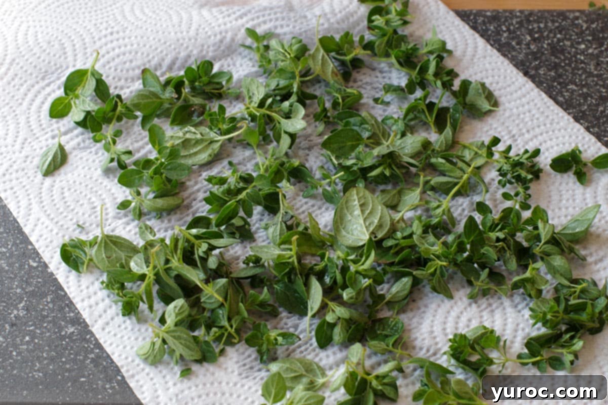 washed oregano on paper towel