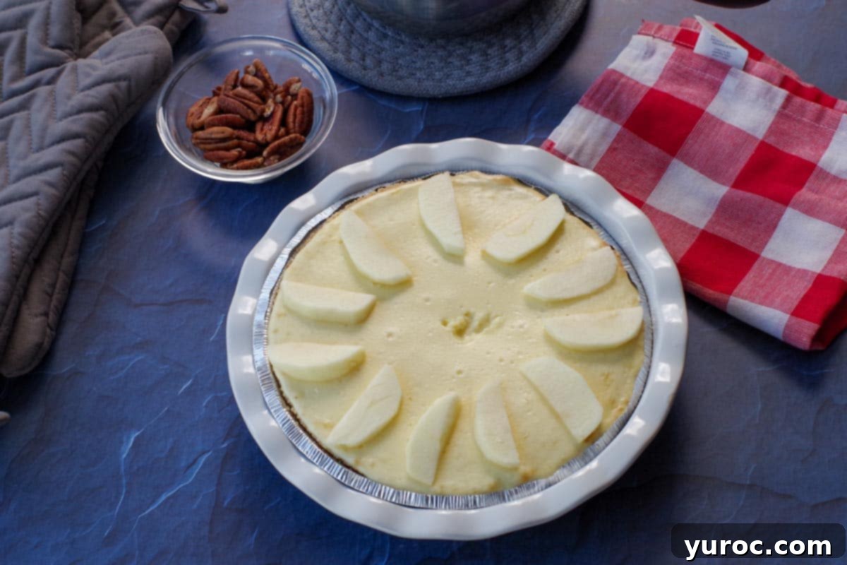 A baked apple cheesecake pie with fresh apple slices arranged decoratively around its outer edge, adding a fresh, crisp garnish.