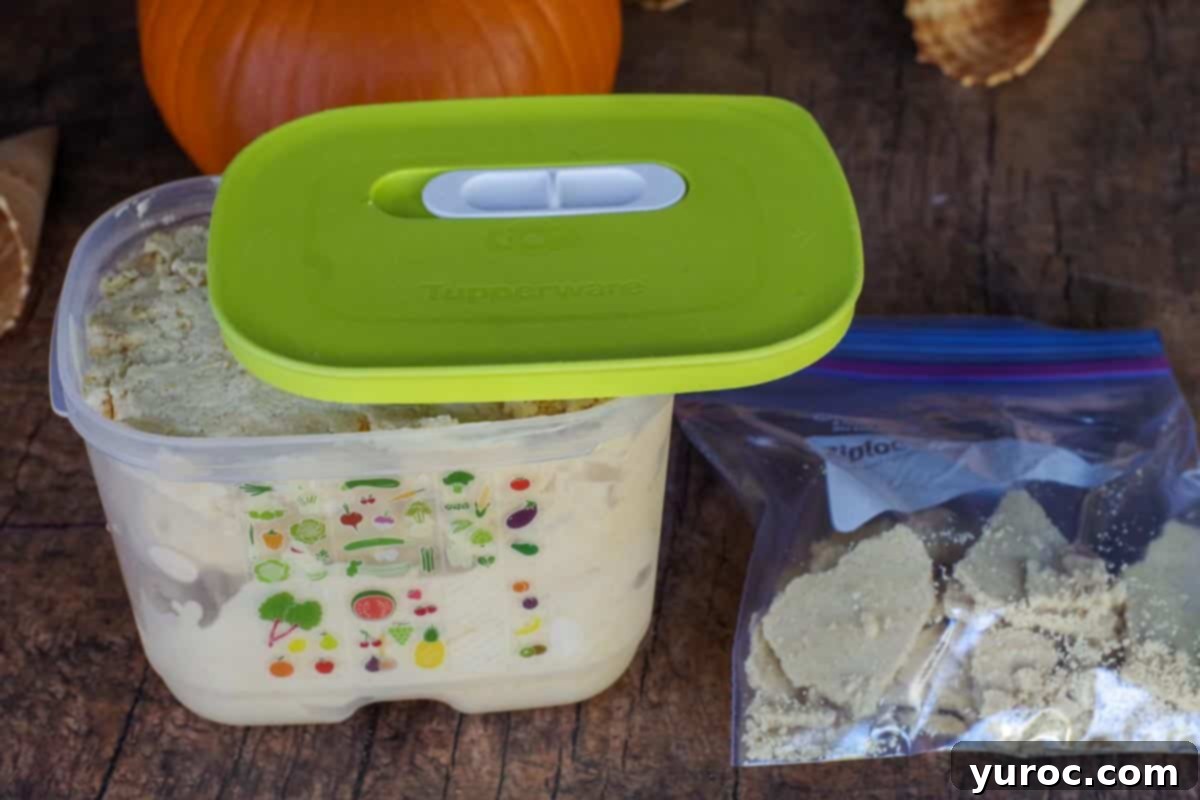 Pumpkin ice cream stored in a clear rectangular container with a green lid, alongside a ziploc bag containing broken graham cracker crust pieces.