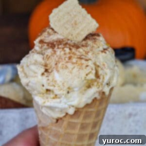 A scoop of homemade no-churn pumpkin pie ice cream in a sugar cone, being held by a hand, in front of a container of ice cream and a small pumpkin.