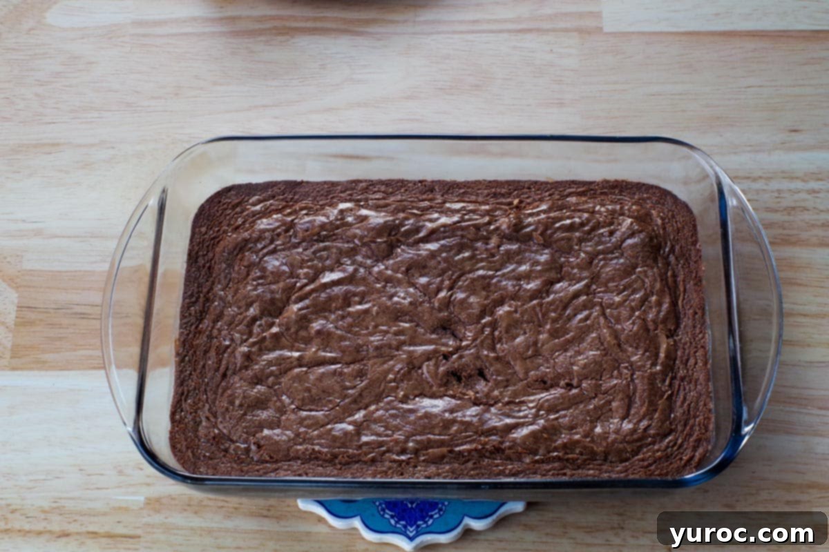 Chocolate Obsession Squares 13 cooked chocoholic chocolate squares in glass pan