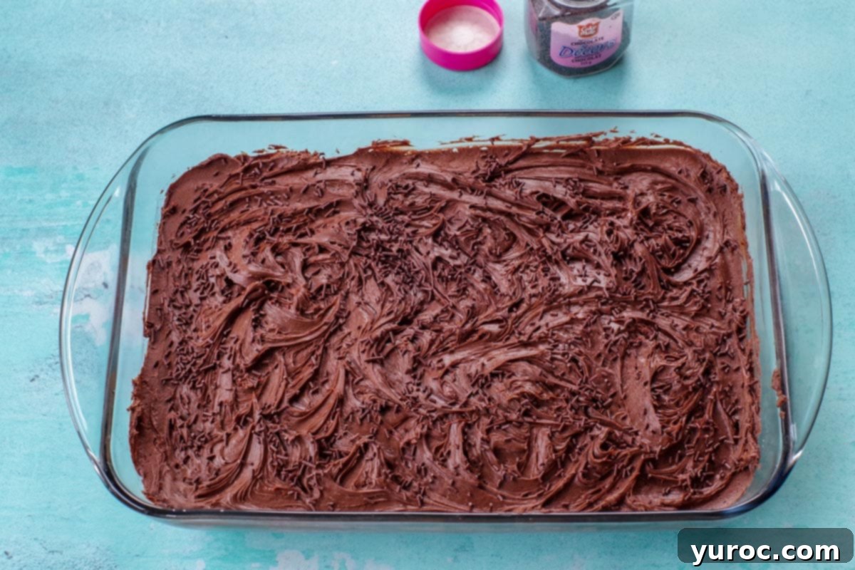 Chocolate Obsession Squares 15 chocolate squares frosted with chocolate frosting with chocolate sprinkles on top