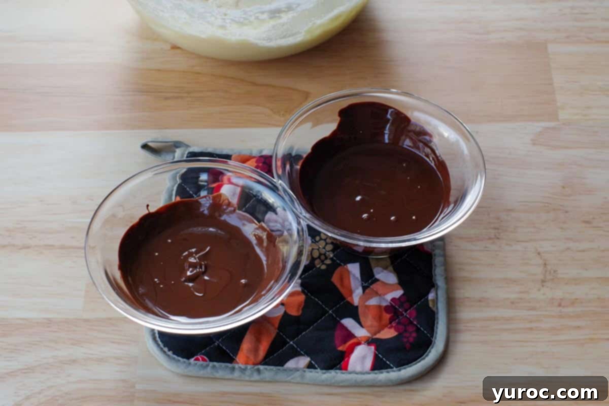 Chocolate Obsession Squares 8 2 kind of chocolate melted in 2 glass bowls