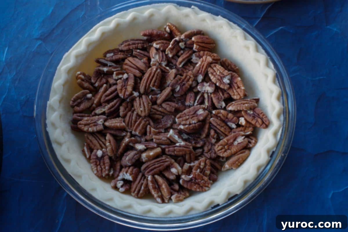 toasted pecans in unbaked pie crust