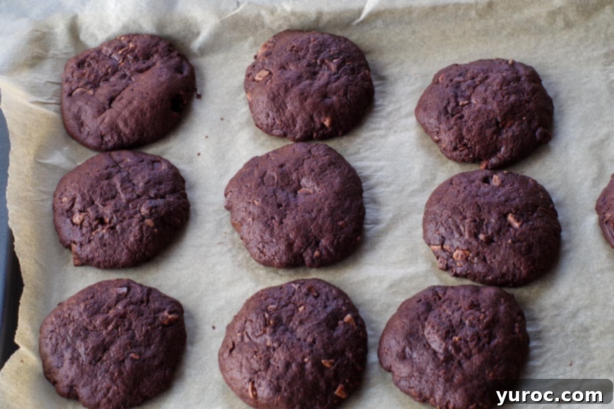 whole chocolate orange cookies, baked on parchment covered baking sheet