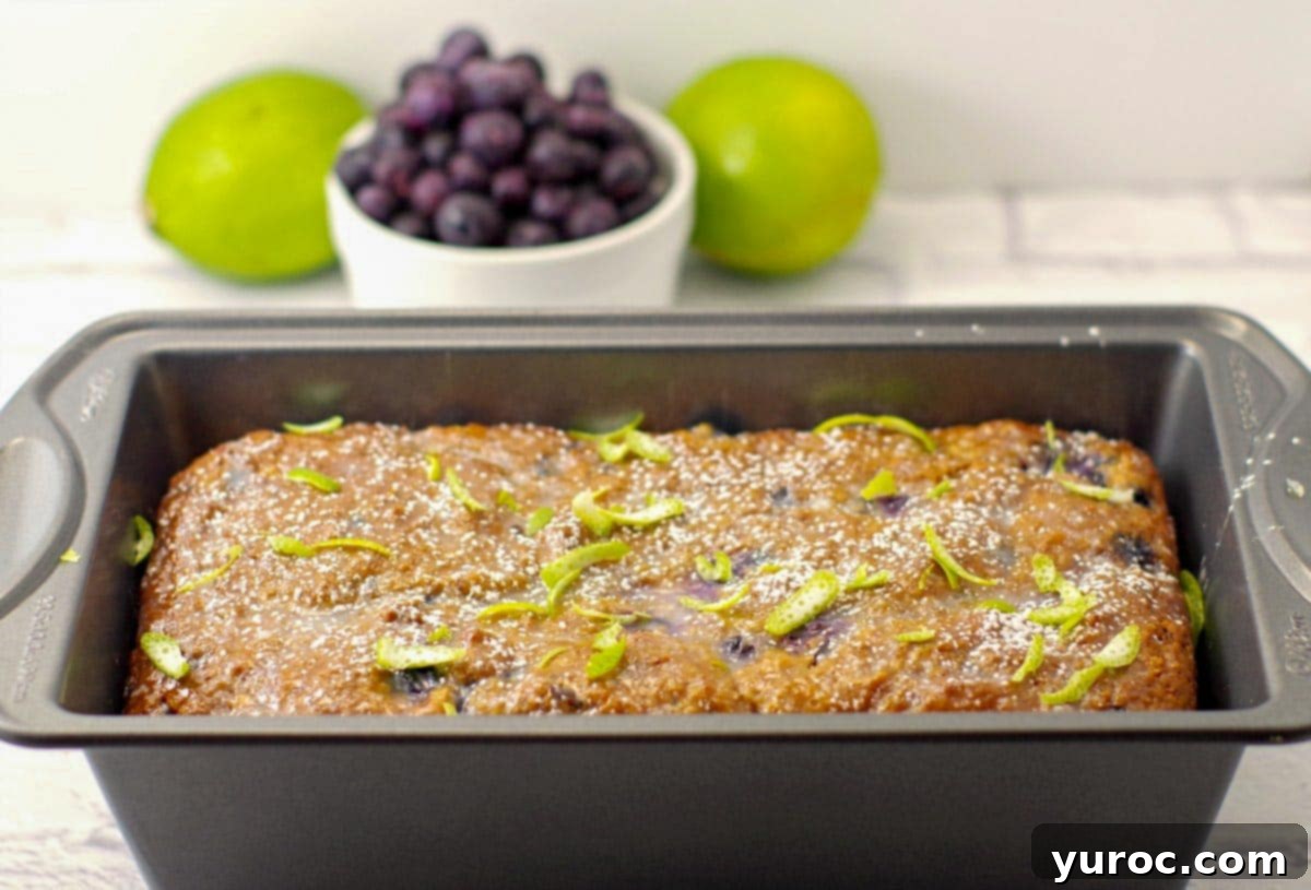 Cozy Blueberry Gingerbread Loaf 3 blueberry gingerbread loaf in a pan with blueberries and limes in the background