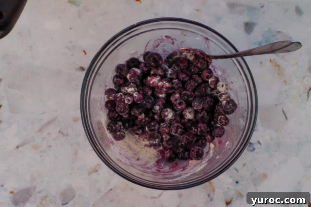 Cozy Blueberry Gingerbread Loaf 7 blueberries mixed with 1 tablespoon of flour in medium glass bowl with spoon.