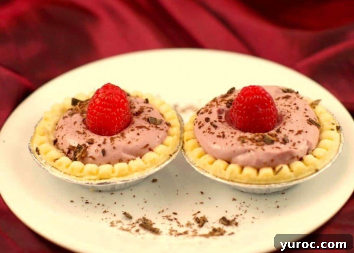 2 raspberry tiramisu tarts on a white plate