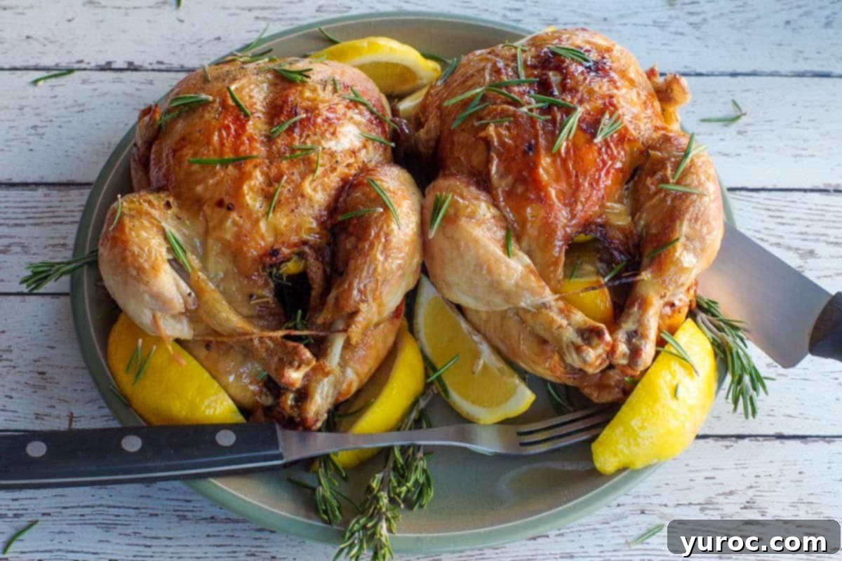 Two air fryer roast chickens on a green plate with lemon wedges, showcasing their golden-brown, crispy skin.