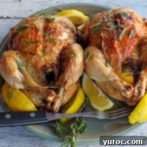 Two air fryer roast chickens on a green plate with lemon wedges, beautifully cooked and ready to serve.
