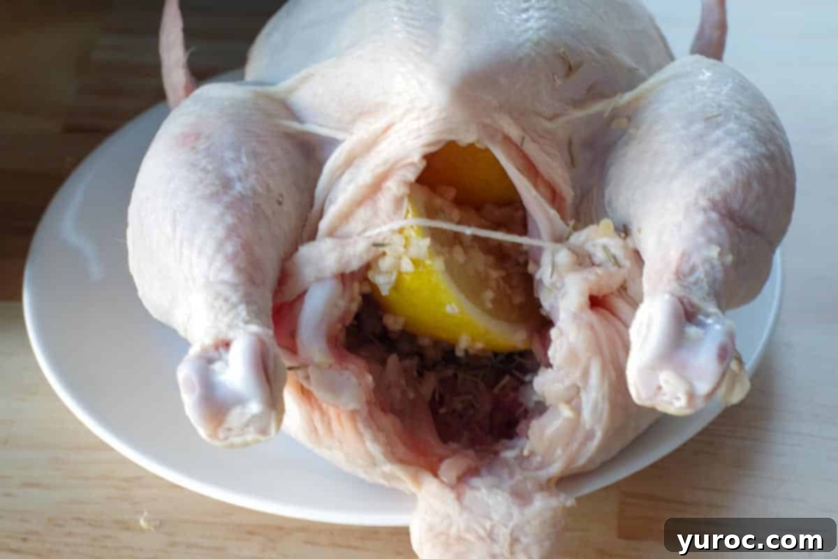 Raw whole chicken on a plate with lemon, rosemary, and garlic now inside its cavity.