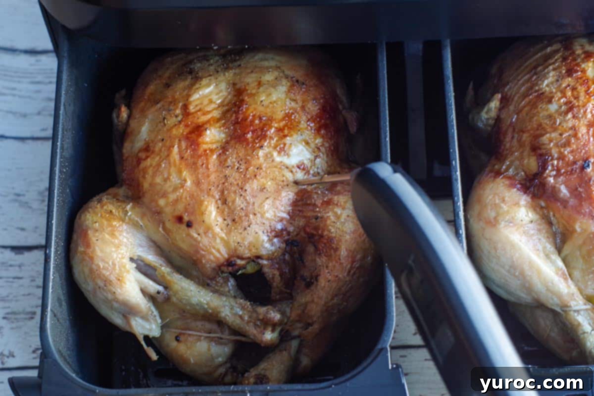 Whole cooked chicken in the air fryer, with an instant-read thermometer inserted to check internal temperature.