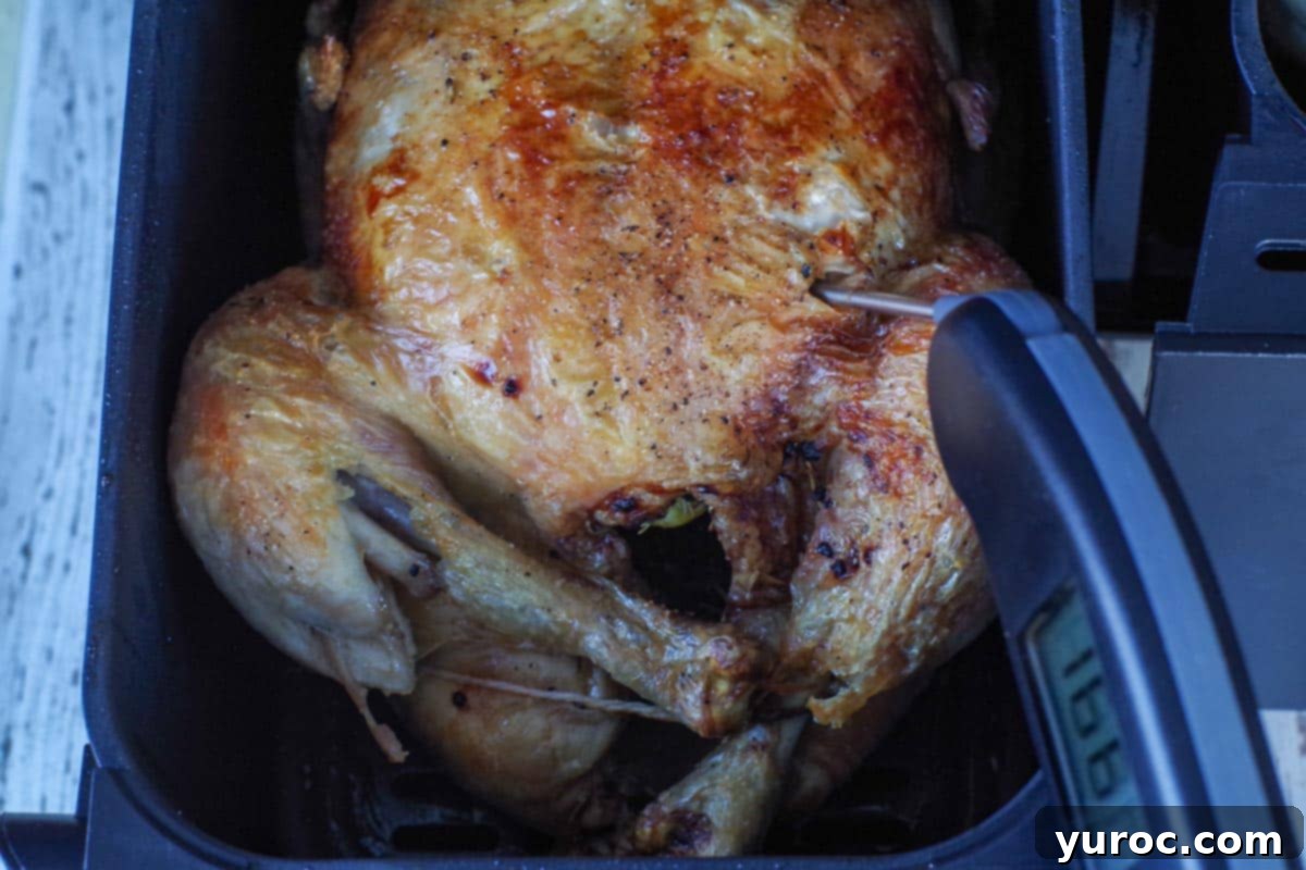 An instant-read thermometer being used to check the internal temperature of an air fryer roast chicken.