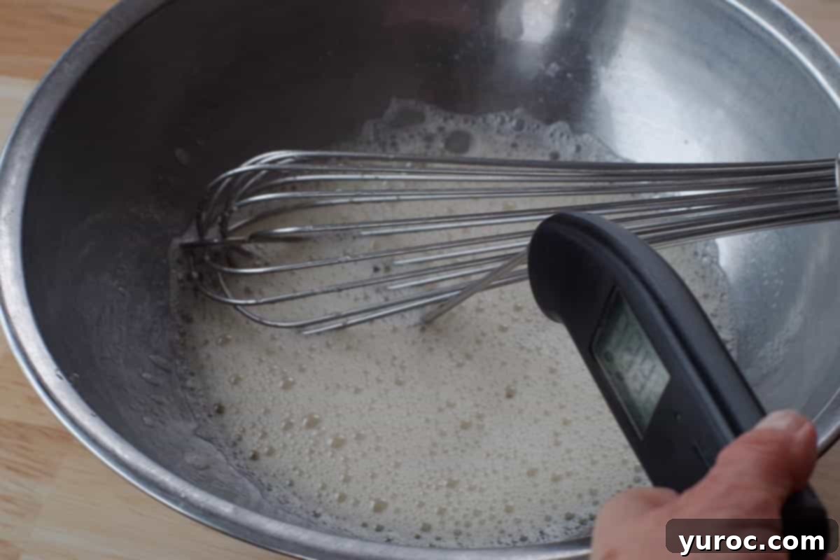 whisked eggs in a stainless steel bowl with instant read thermometer