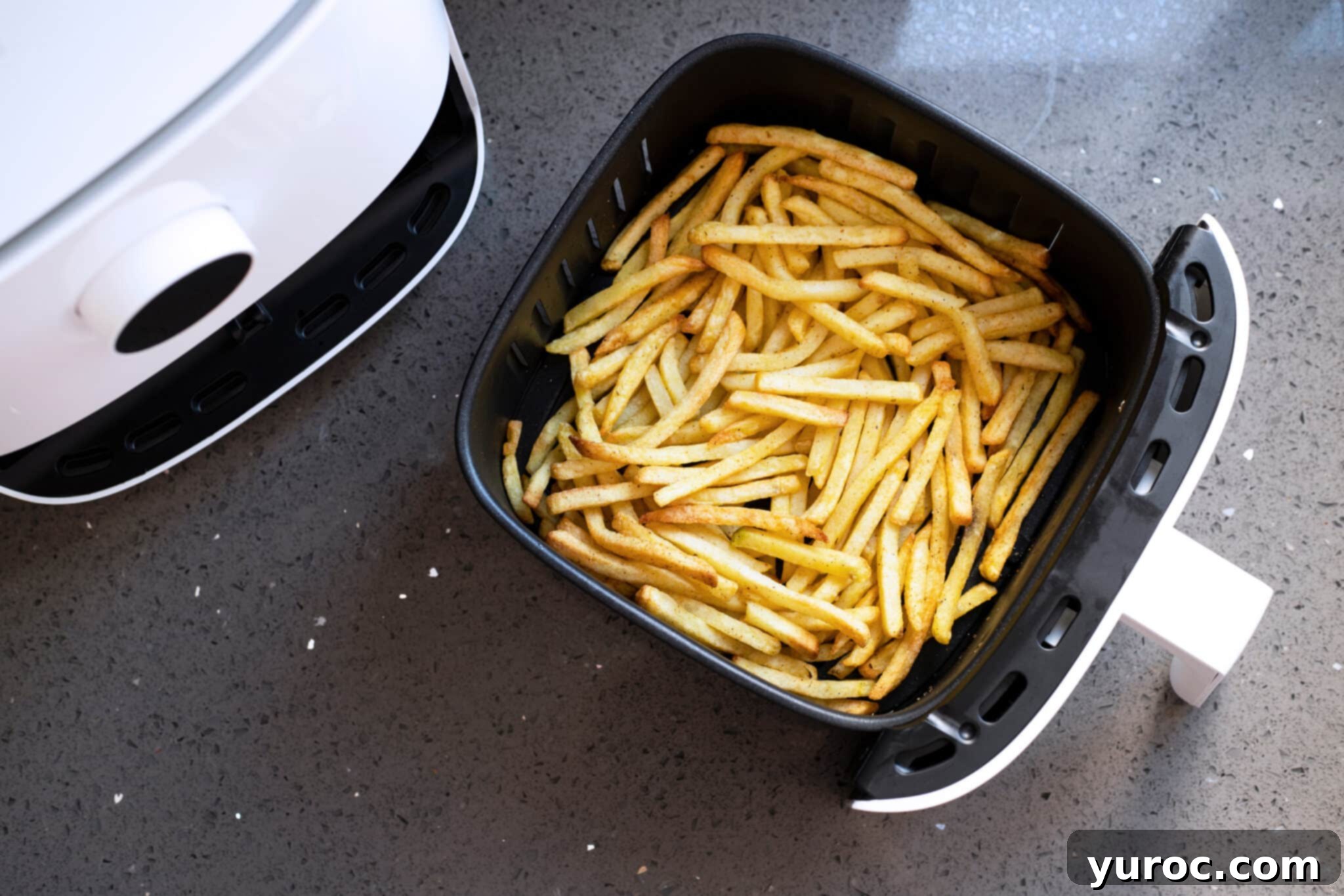 air fryer basket with fries