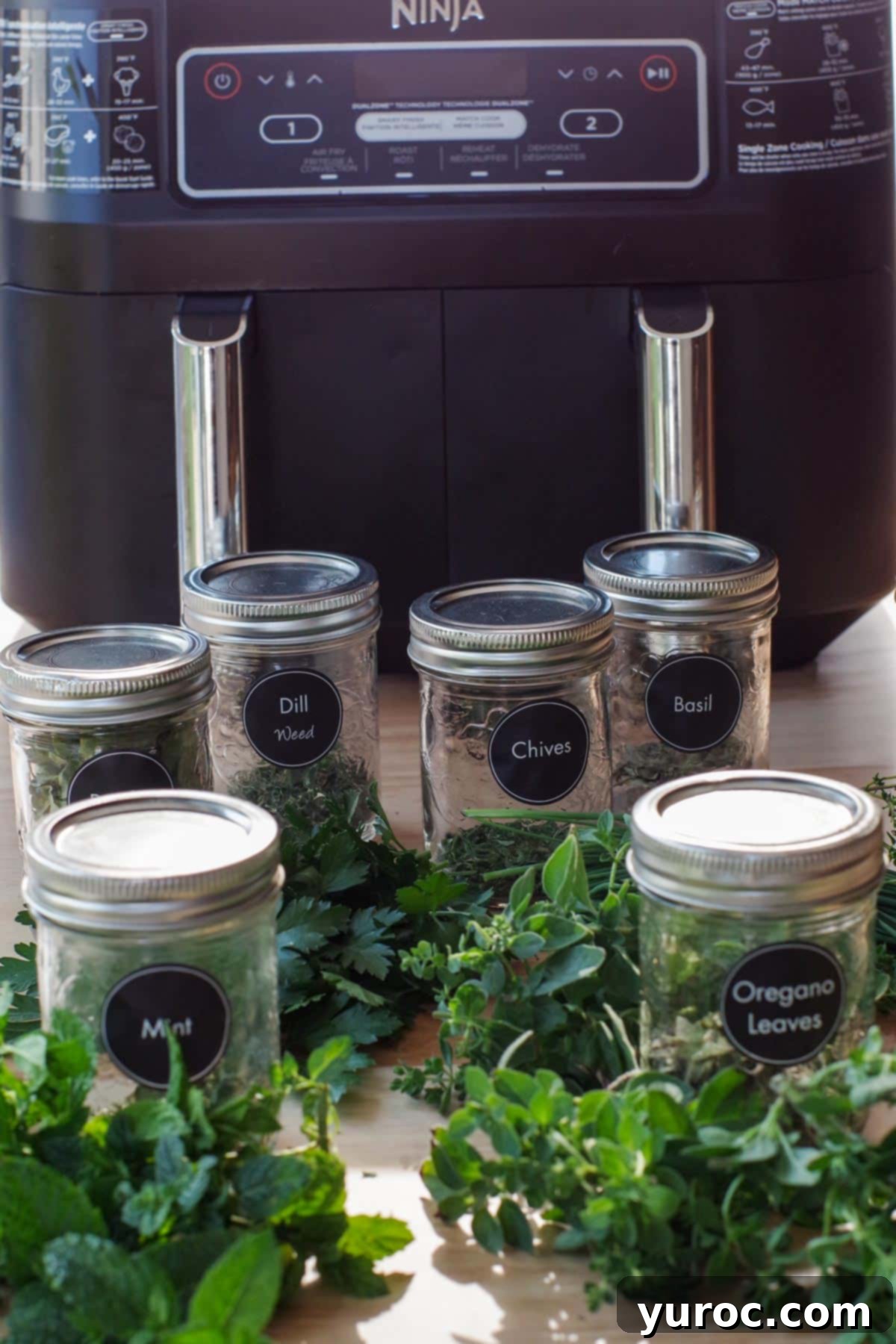 resh herbs and jars of dried herbs, labelled with black round labels and a Ninja Foodi Air Fryer in the background