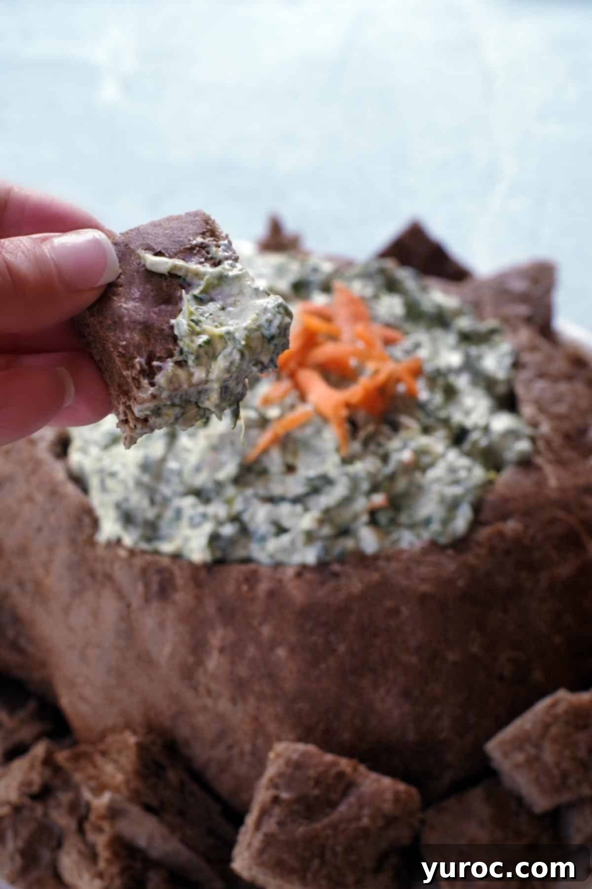 Ultimate Pumpernickel Spinach Dip 10 A close-up of a piece of pumpernickel bread being dipped into the rich, creamy spinach dip.