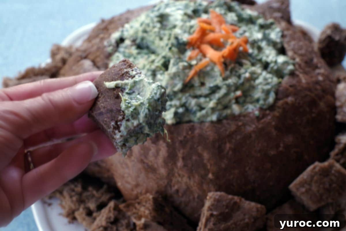 Ultimate Pumpernickel Spinach Dip 9 A piece of pumpernickel bread being dipped into the creamy spinach dip served in a bread bowl.