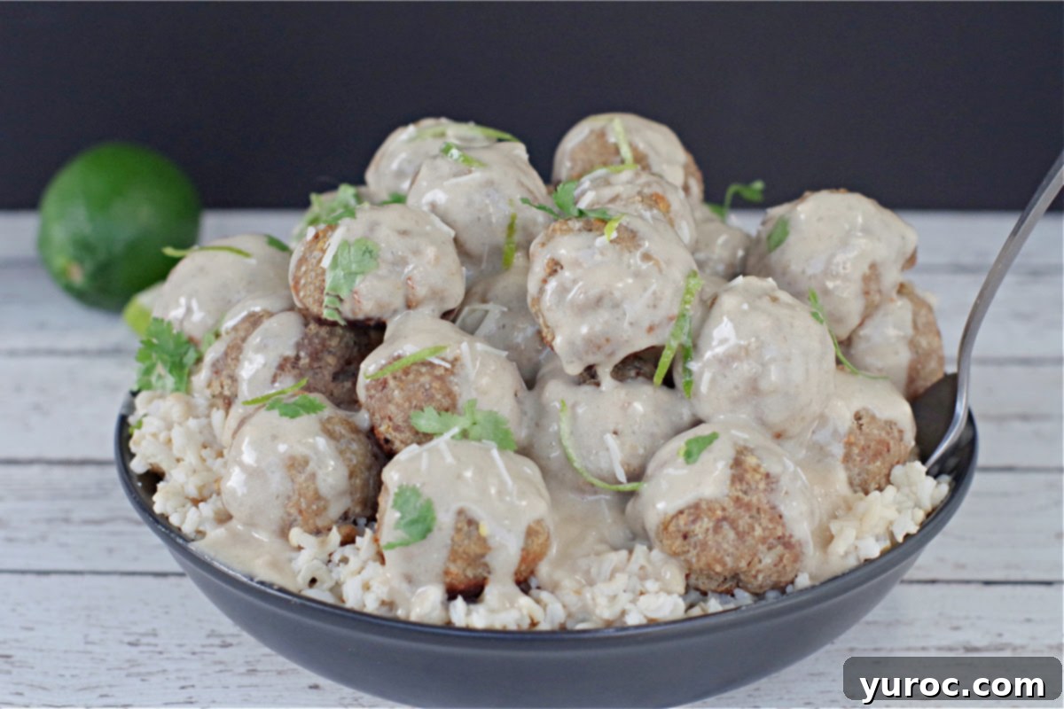 turkey meatballs with rice in black bowl