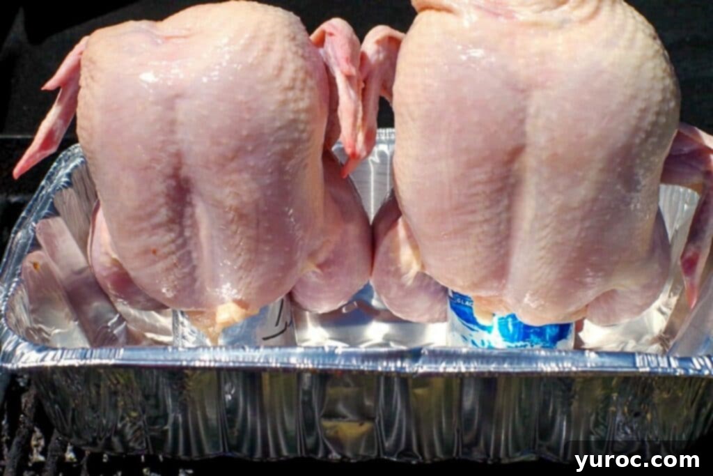 BBQ Beer Can Chicken 4 2 raw whole chickens placed on top of beer cans in an aluminum container on the grill