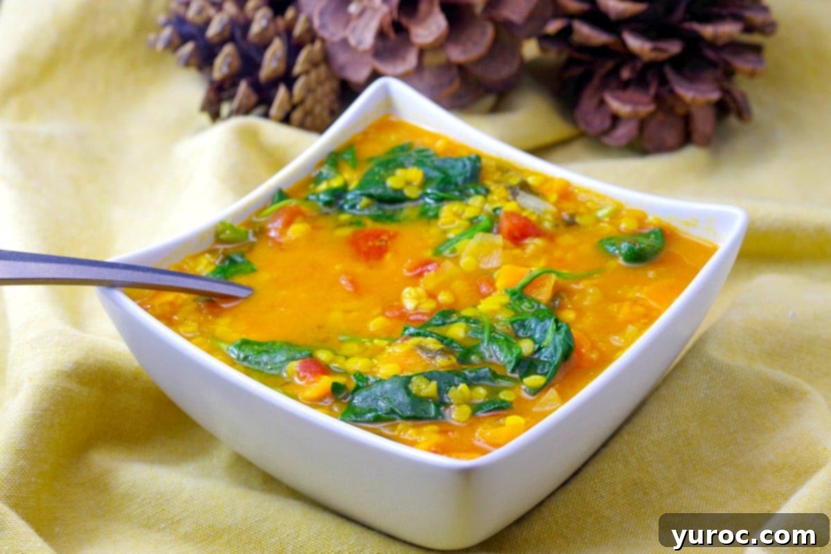 Red Lentil Spinach Soup in a white bowl with a spoon and pine cones in the background.
