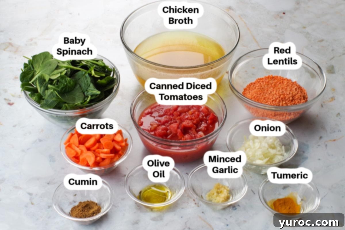 Red Lentil Spinach Soup ingredients in glass bowls, labelled.