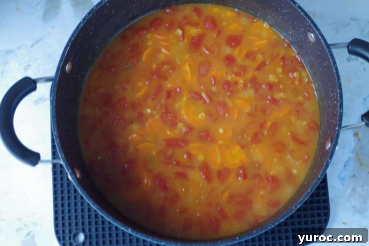 Soup simmered until vegetables are tender in soup pot.