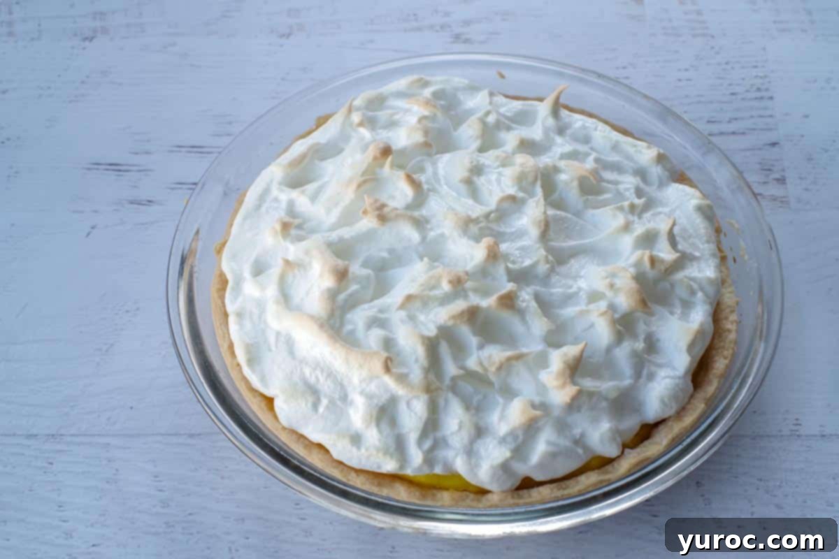 The lemon meringue pie, with its golden-brown meringue topping, freshly baked from the oven.
